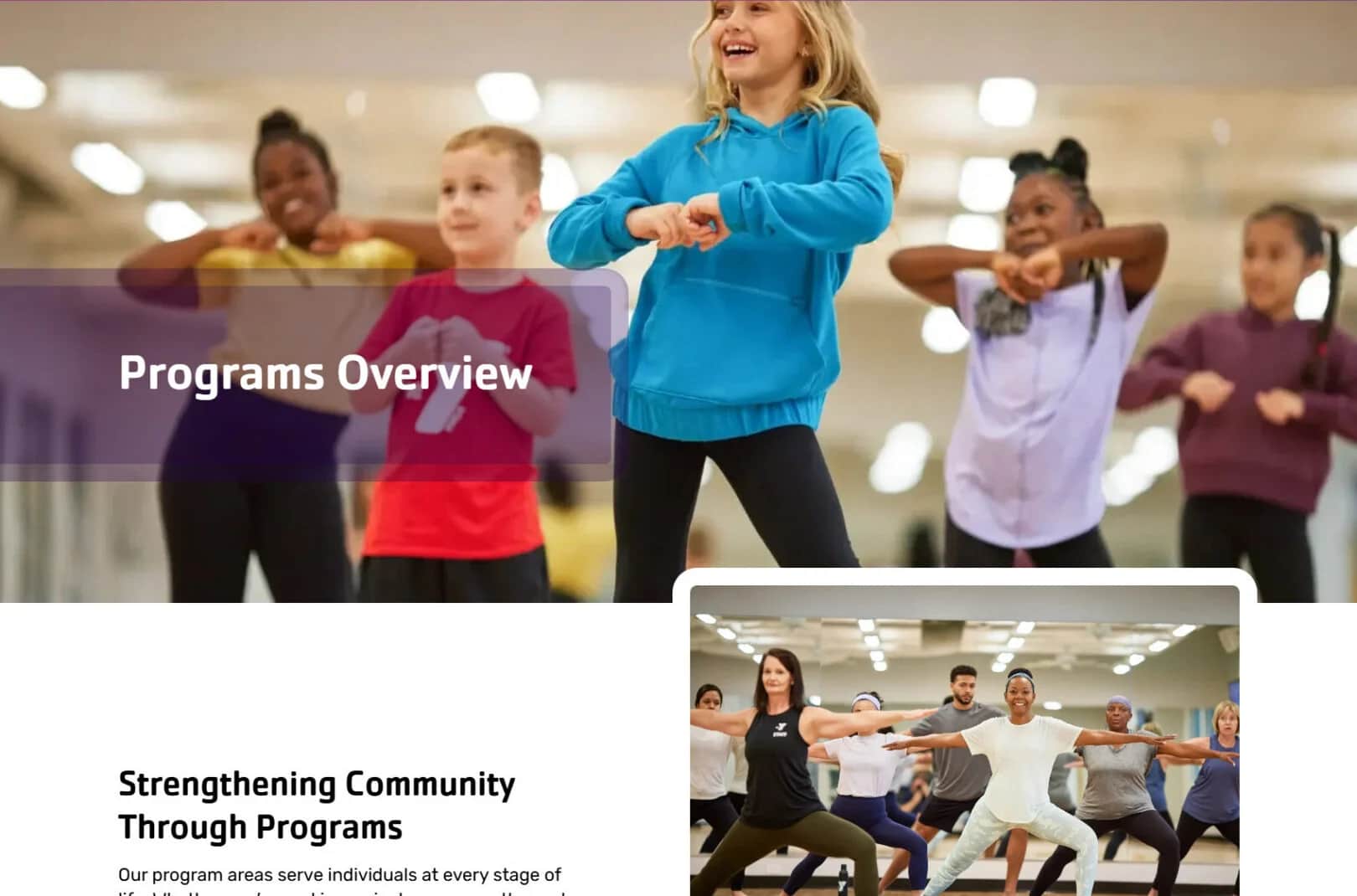 Program Overview